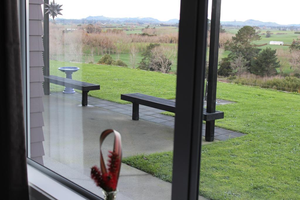 Birds Eye View Bed And Breakfast Waihi Esterno foto