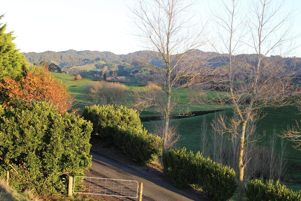 Birds Eye View Bed And Breakfast Waihi Esterno foto