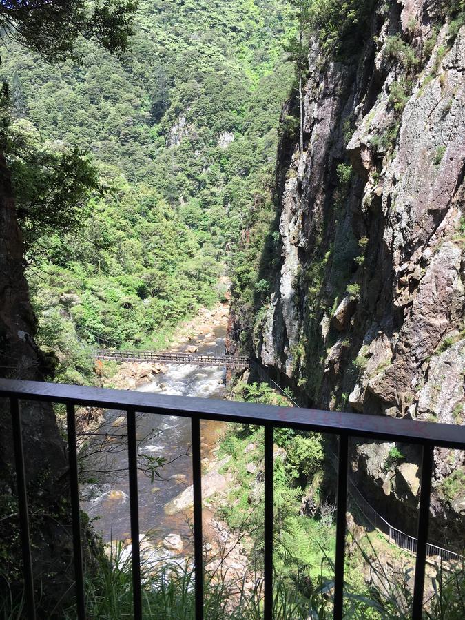 Birds Eye View Bed And Breakfast Waihi Esterno foto